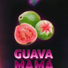 Табак Duft Дафт 100 гр Guava Mama (Гуава)