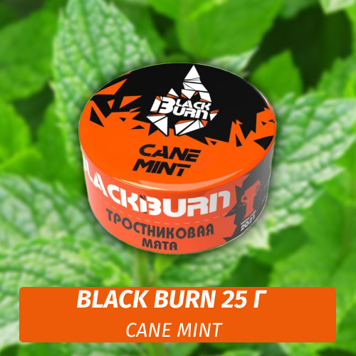 Табак Black Burn 25 гр Cane Mint