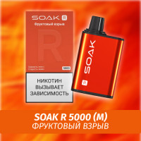 SOAK R - Fruit Blast/ Фруктовый взрыв 5000 (Одноразовая электронная сигарета) (М)