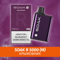 SOAK R - Gooseberry/ Крыжовник 5000 (Одноразовая электронная сигарета) (М)