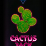 Табак Duft Дафт 100 гр Cactus Jack (Кактус)