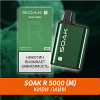 SOAK R - Kiwi Lime/ Киви Лайм 5000 (Одноразовая электронная сигарета) (М)