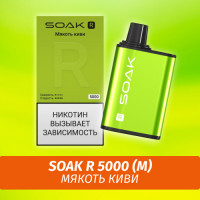 SOAK R - Kiwi Pulp/ Мякоть киви 5000 (Одноразовая электронная сигарета) (М)
