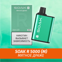 SOAK R - Mint Dragee/ Мятное драже 5000 (Одноразовая электронная сигарета) (М)