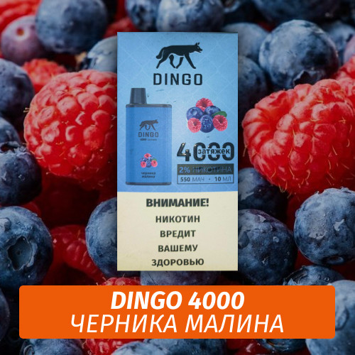 DINGO - Черника малина 4000 (Одноразовая электронная сигарета)