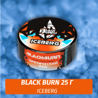 Табак Black Burn 25 гр IceBerg (Something Ice - Лед)