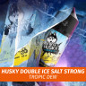 Husky Double Ice Salt - Tropic Dew 30 ml (20s)