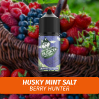 Husky Mint Salt - Berry Hunter 30 ml (20)