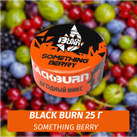 Табак Black Burn 25 гр Something Berry