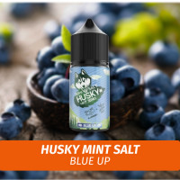 Husky Mint Salt - Blue Up 30 ml (20)