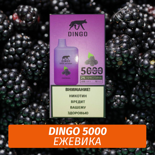 DINGO - Ежевика 5000 (Одноразовая электронная сигарета)