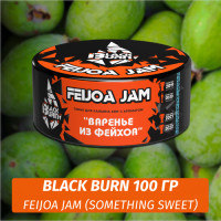 Табак Black Burn 100 гр Feijoa Jam (Something Sweet Фейхоа Джем)