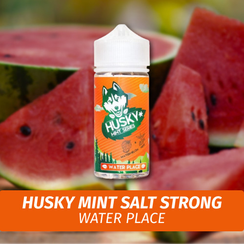 Husky Mint Salt - Water Place 30 ml (20s)