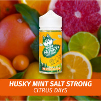 Husky Mint Salt - Citrus Days 30 ml (20s)