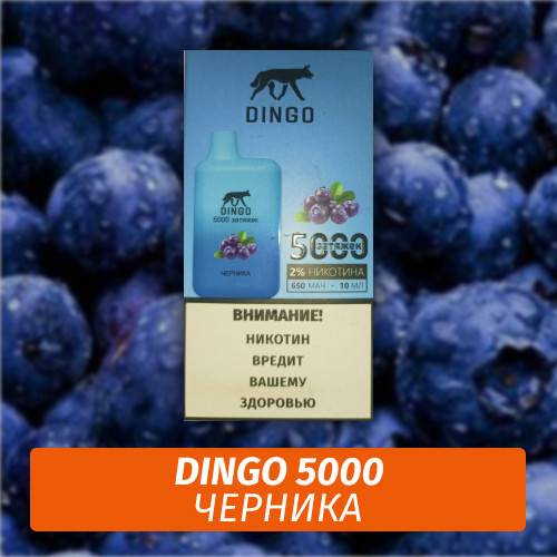 DINGO - Черника 5000 (Одноразовая электронная сигарета)