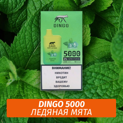 DINGO - Ледяная мята 5000 (Одноразовая электронная сигарета)