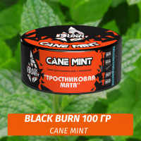 Табак Black Burn 100 гр Cane Mint