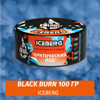 Табак Black Burn 100 гр Something Ice (Что-то Ледяное)