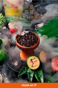 Табак Element Earth Элемент земля 40 гр Feijoa (Фейхоа)