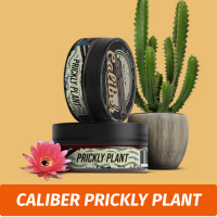Табак Caliber Prickly Plant (Кактус) 50 гр