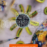 Чайная смесь Dali 50 гр Kiwi Gooseberry