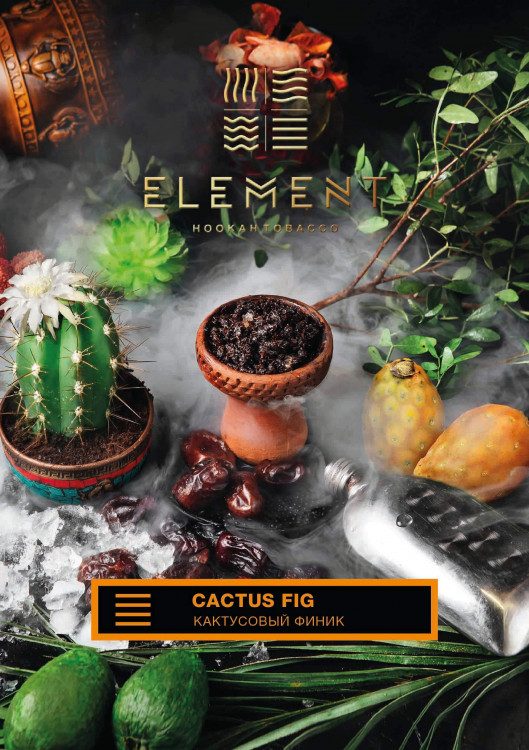 Табак Element Earth Элемент земля 40 гр Cactus Fig (Кактусовый финик)