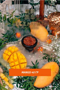 Табак Element Water Элемент вода 40 гр Mango (Манго)