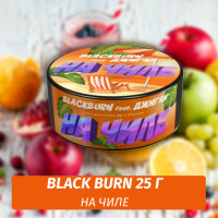 Табак Black Burn 25 гр На Чиле (Тропический Сок) feat Джиган