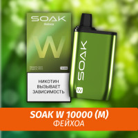 SOAK W - Feijoa/ Фейхоа 10000 (Одноразовая электронная сигарета) (М)