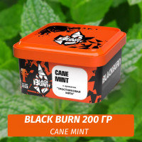 Табак Black Burn 200 гр Cane Mint (Тростниковая мята)