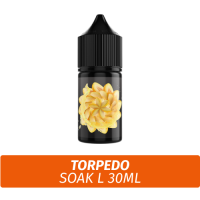 Жидкость SOAK L 10 ml - Torpedo (20)