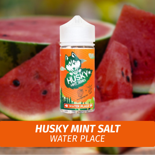 Husky Mint Salt - Water Place 30 ml (20)