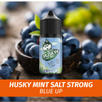 Husky Mint Salt - Blue Up 30 ml (20s)