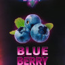Табак Duft Дафт 100 гр Blueberry (Черника)