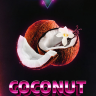 Табак Duft Дафт 100 гр Coconut (Кокос)